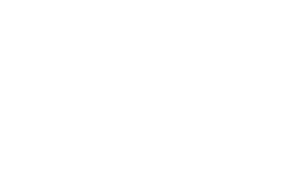 Arauco-Prisim-Symmetry.png
