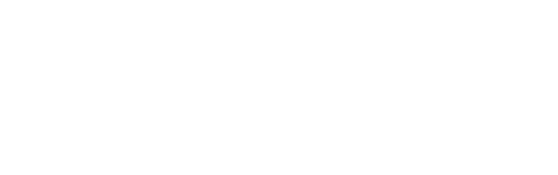 Snow-Bird-Technologies.png